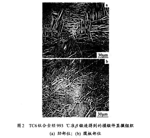 TC6钛合金经993℃准β铸造得到的模锻件显微组织(a) 肋部位；(b) 腹板部位