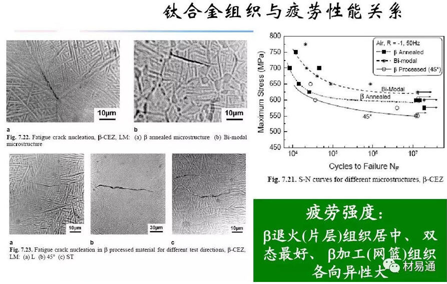 钛合金资料组织机能关系 钛合金资料组织机能关系