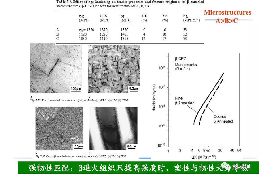 钛合金资料组织机能关系 钛合金资料组织机能关系