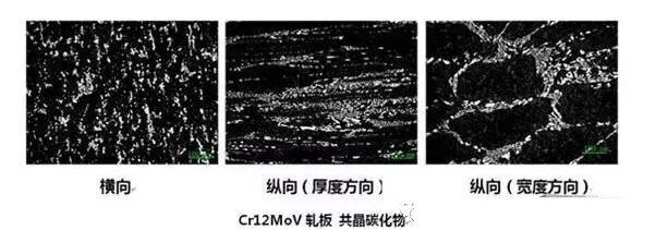 Cr12MoV轧板分歧方向共晶碳化物的状态的金相图