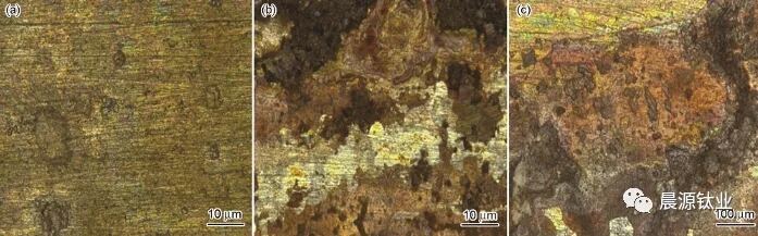 图3 周浸侵蚀尝试后3组试样中的316L不锈钢表表描摹 图3 周浸侵蚀尝试后3组试样中的316L不锈钢表表描摹g