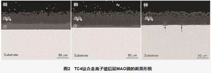 TC4钛合金离子镀铝层MAO膜的截面描摹 TC4钛合金离子镀铝层MAO膜的截面描摹