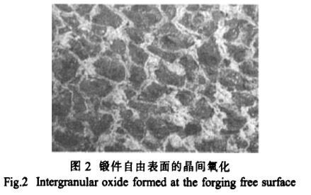 锻件自由表表的晶间氧化