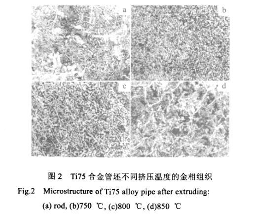 Ti75合金管坯分歧挤压温度的金相组织 Ti75合金管坯分歧挤压温度的金相组织