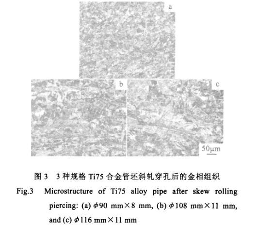3种规格Ti75合金管坯斜轧穿孔后的金相组织 3种规格Ti75合金管坯斜轧穿孔后的金相组织