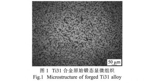 Ti31合金原始锻态显微组织
