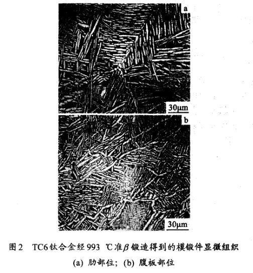 TC6钛合金经993 ℃准铸造得到的模锻件显微组织(a) 肋部位；(b) 腹板部位