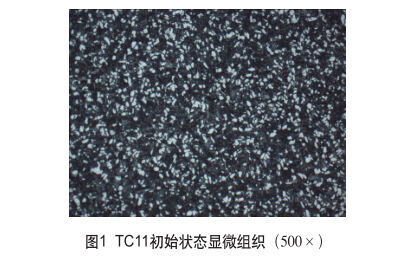 TC11初始状态显微组织(500×) TC11初始状态显微组织(500×)