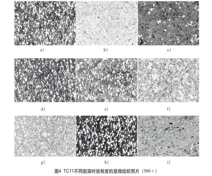 TC11分歧固溶时效造度的显微组织照片(500×) TC11分歧固溶时效造度的显微组织照片(500×)