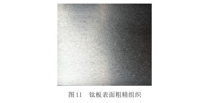 表表粗晶和条状组织