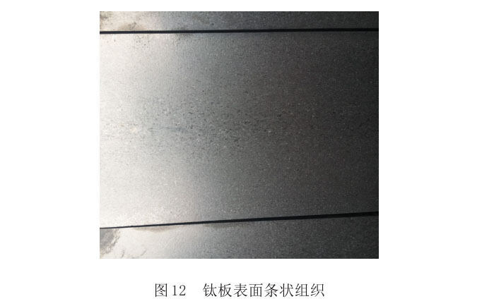 钛板表表条状组织