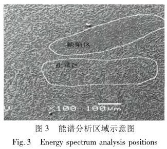 能谱分析区域示意图 能谱分析区域示意图