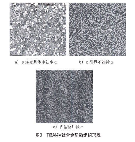 Ti6Al4V钛合金显微组织描摹 Ti6Al4V钛合金显微组织描摹