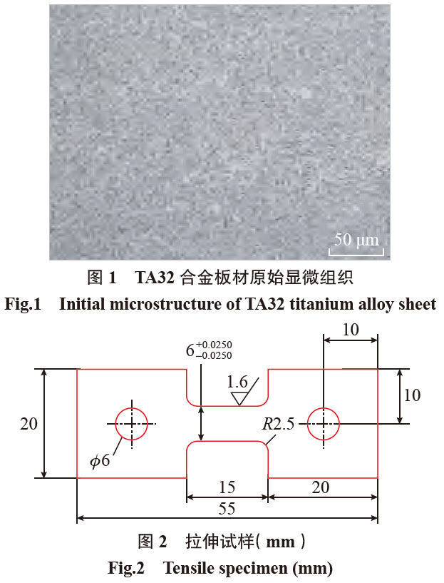 t1-2.jpg