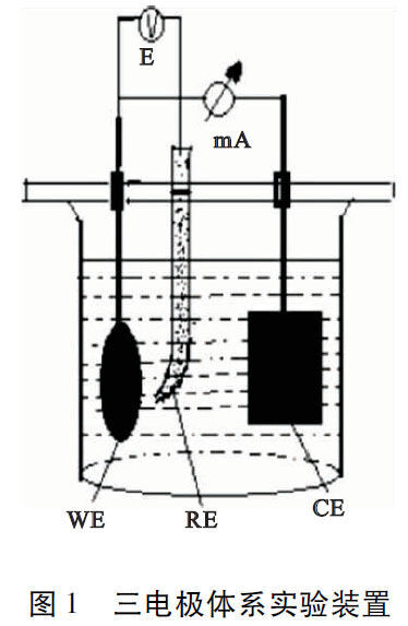 1685415574413605.jpg t1.jpg