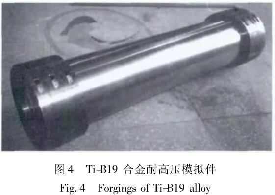 1686486395311854.jpg t4.jpg