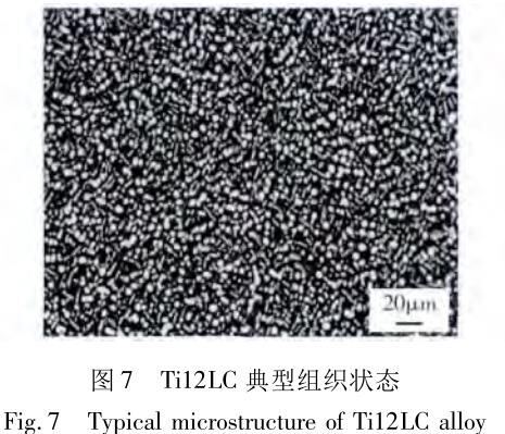 1686486471693922.jpg t7.jpg