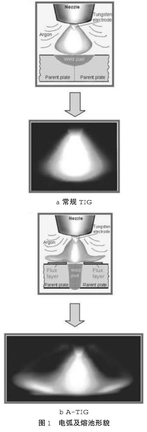 1686713934603616.jpg t1.jpg