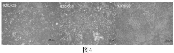 1688899937799168.jpg 360截图16230315204326.jpg