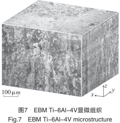 1692437109632203.jpg t7.jpg
