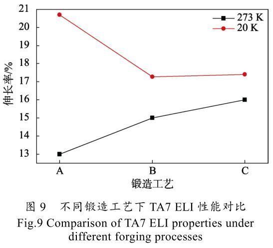 t9.jpg