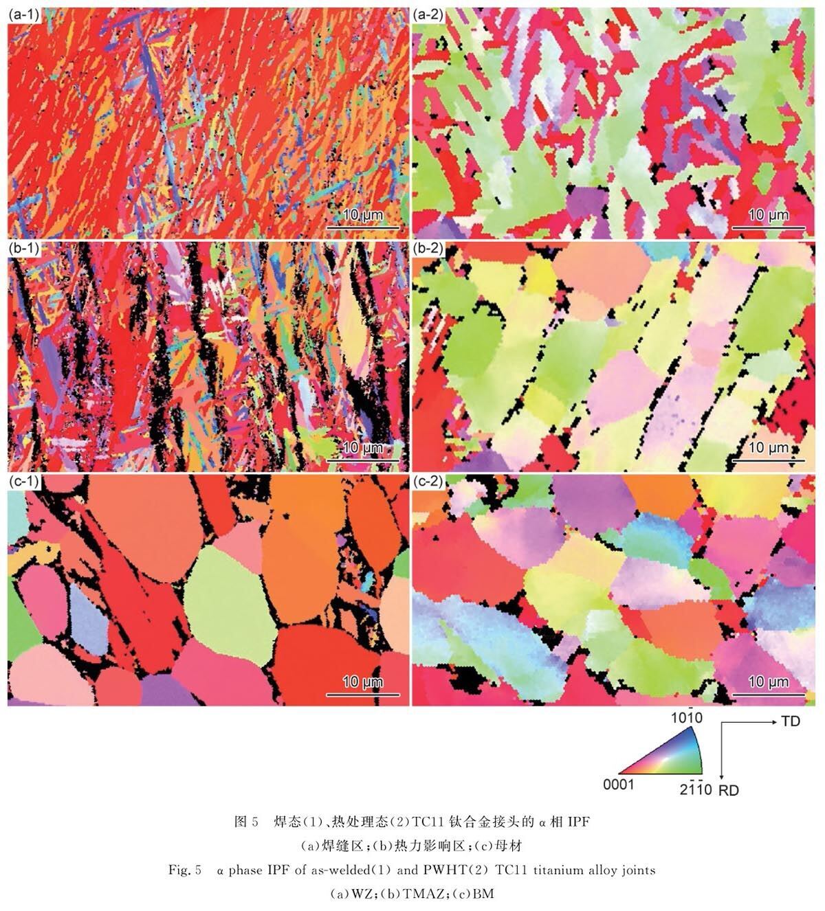 1700650324359307.jpg t5.jpg
