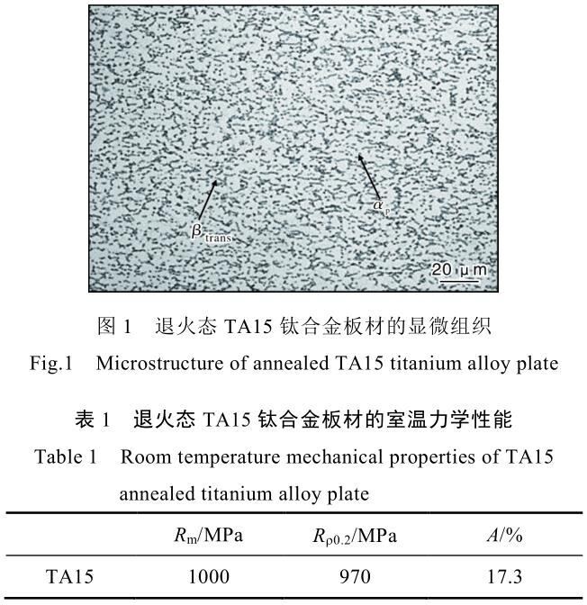 t1-b1.jpg