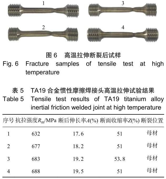 t6-b5.jpg