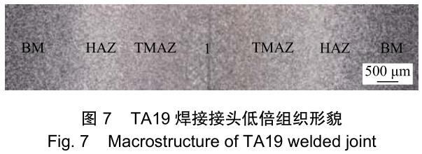 t7.jpg