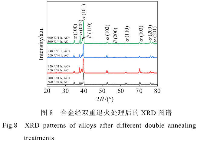 1708444179683558.jpg t8.jpg