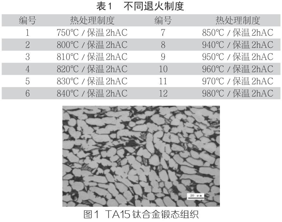 1710489028623583.jpg b1-t1.jpg