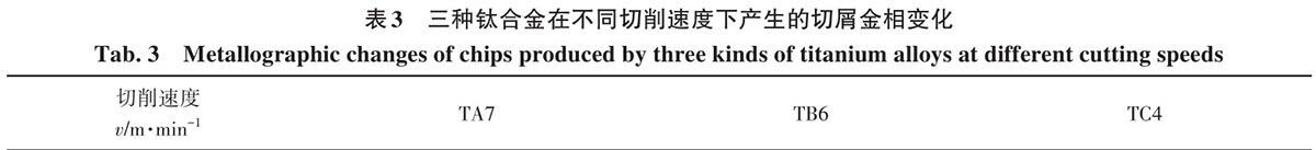 b3.jpg