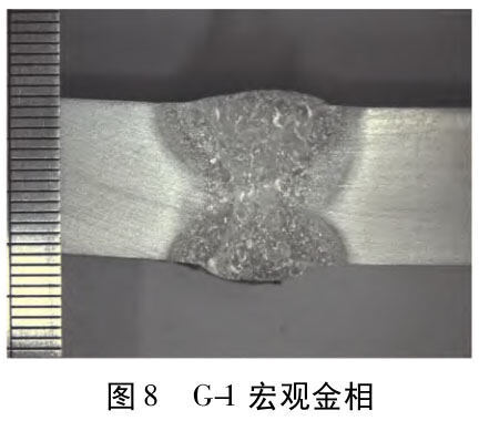 1717411097715188.jpg t8.jpg