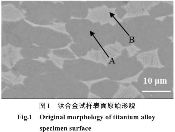 1722308255371054.jpg 360截图16530715387450.jpg