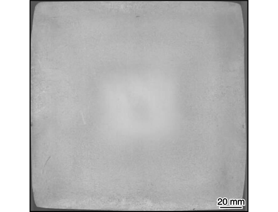 1725094375990190.jpg 2.jpg