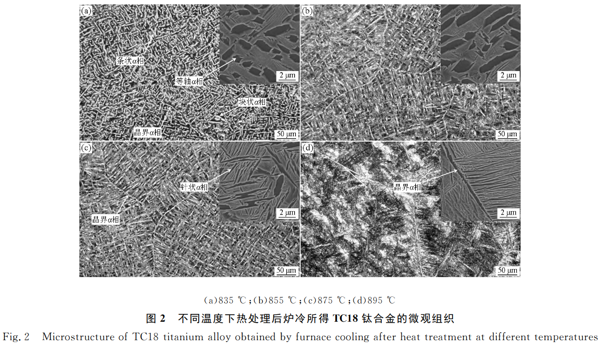 1731157686814555.png 截图20241109210602.png