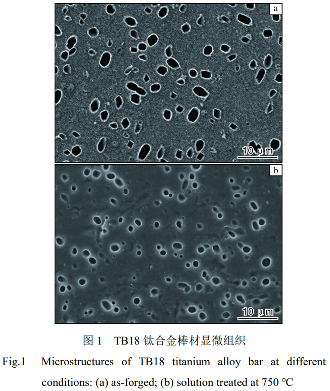 1743305223655689.png 截图20250330112220.png