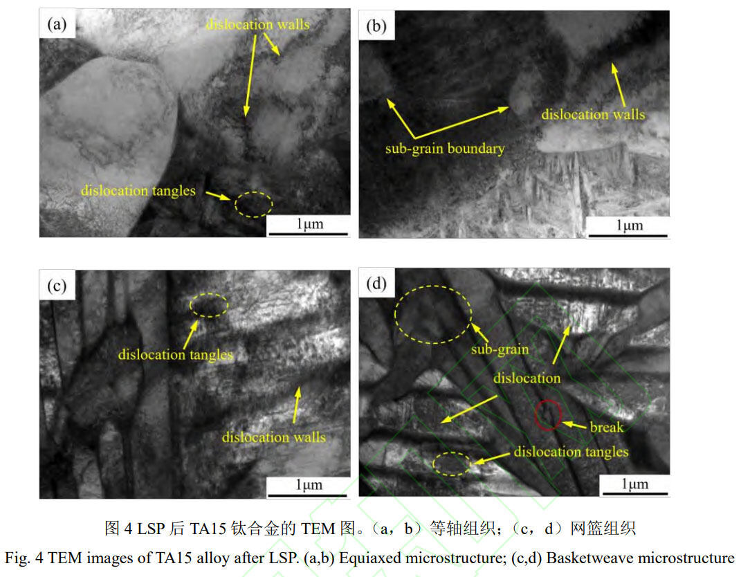 1756392516461658.jpg 未标题-4.jpg