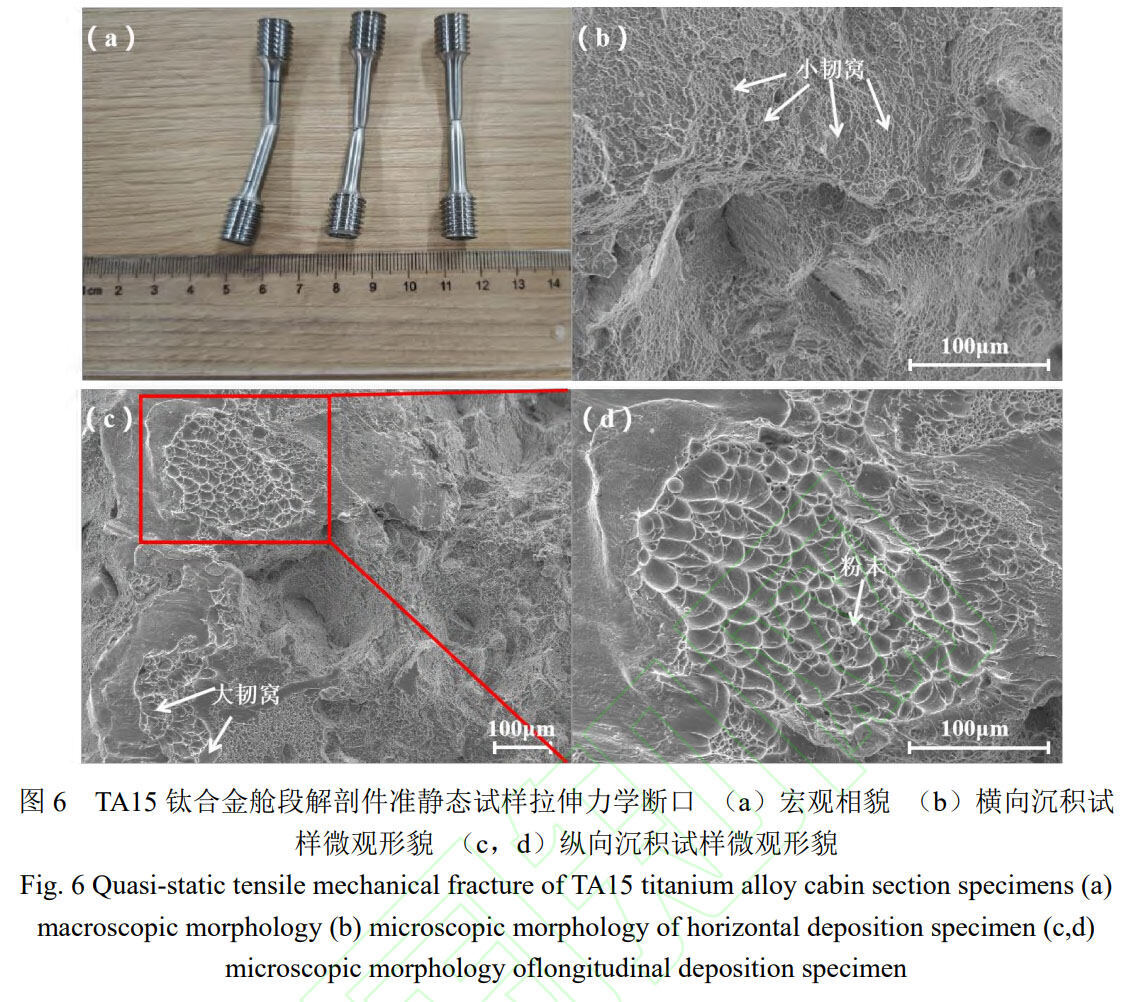 1762342165455781.jpg 未标题-2.jpg