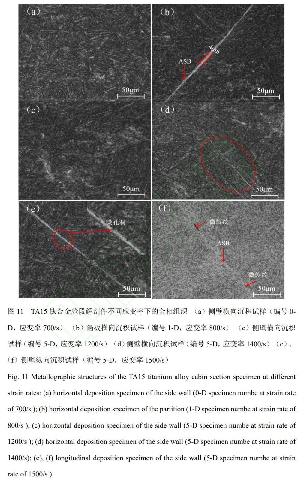 1762342236202215.jpg 未标题-3.jpg