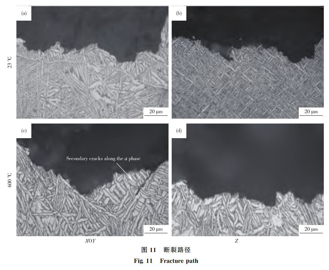 1762347924706637.jpg 激光沉积Ti65钛合金拉伸机能_周松_10.jpg