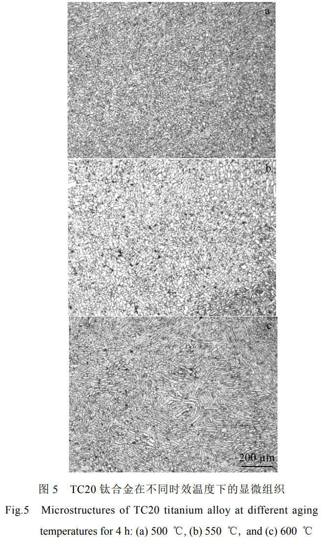 1779417054166570.jpg 5.jpg