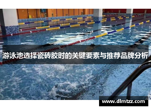 游泳池选择瓷砖胶时的关键要素与推荐品牌分析
