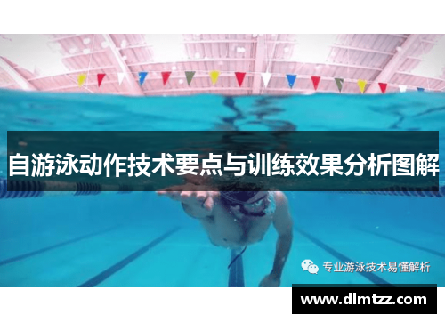 自游泳动作技术要点与训练效果分析图解